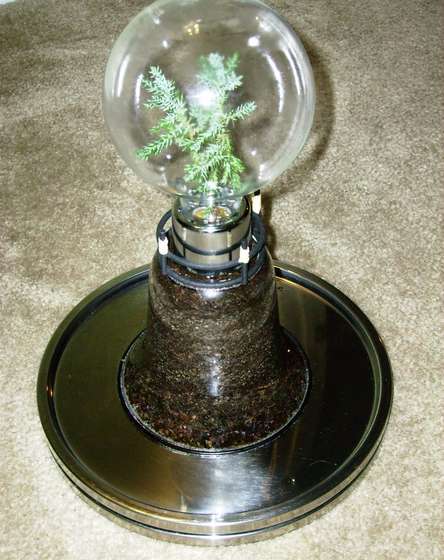 ΢ңڰ׳