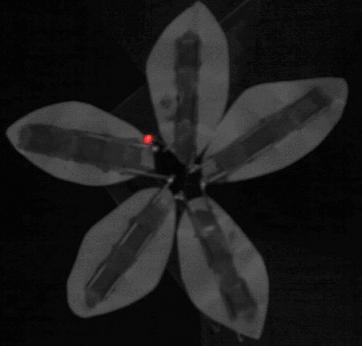 Ȥζ֭LED