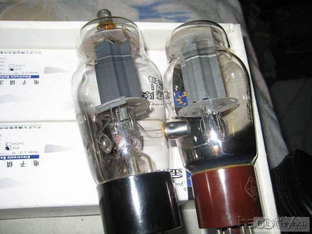 ζĵ6g2p+411