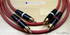 ¹:DIY RCA