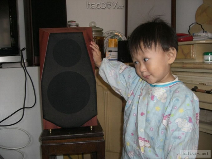 diy D2.1se
