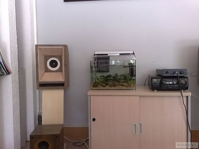 5ȻȫƵ ʵ¼