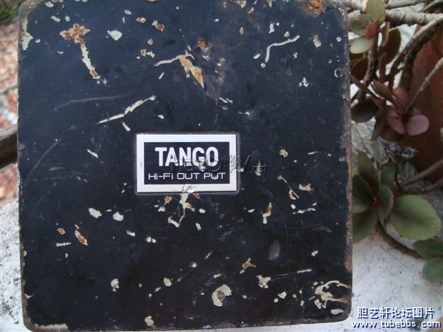 ձTango̽굨ţѹ