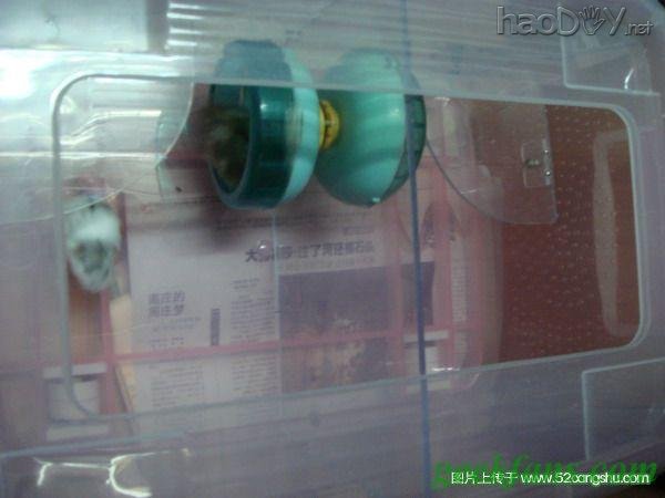 DIYϸ̳