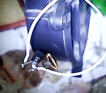 1.5vѹ6v