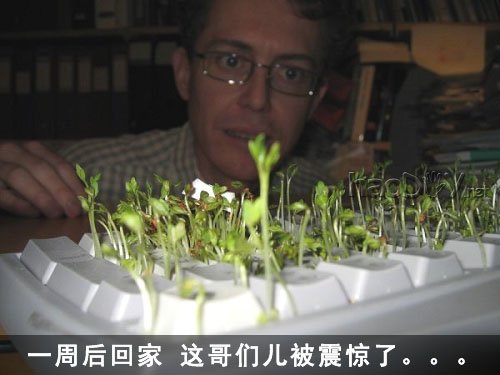 Ƽ̷ѿ!DIY
