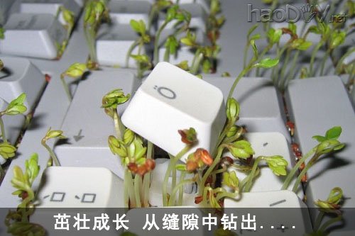 Ƽ̷ѿ!DIY