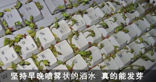 Ƽ̷ѿ!DIY