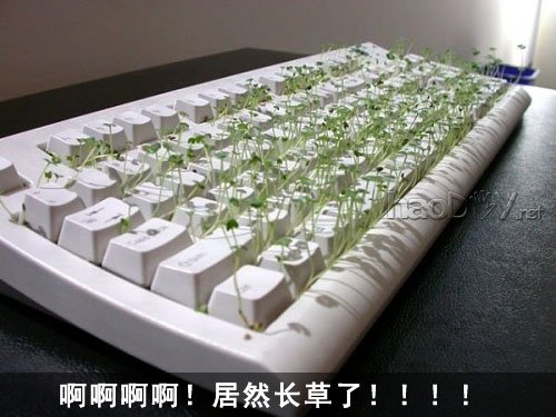 Ƽ̷ѿ!DIY