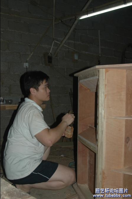上木胶粉.jpg