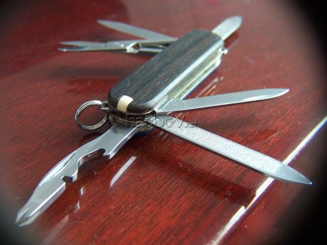 diy˫赣һ޶ʿ