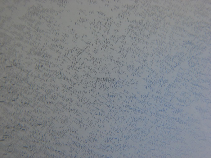diyĥԶֱ203.2ﾵ
