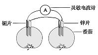 ѵ