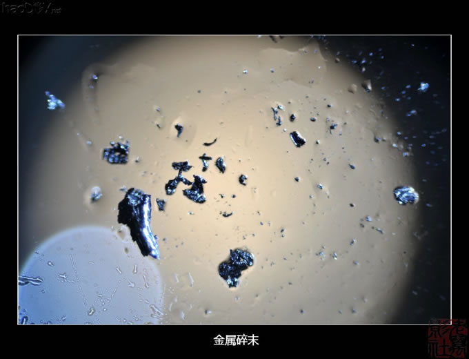 DSC_5546.jpg 自制简易单反直拍显微镜转接筒 些拍摄成果