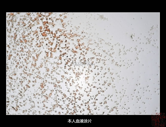 DSC_5532.jpg 自制简易单反直拍显微镜转接筒 些拍摄成果