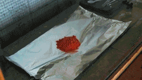 ѧСʵ飺ӼҰ桰֮ߡ