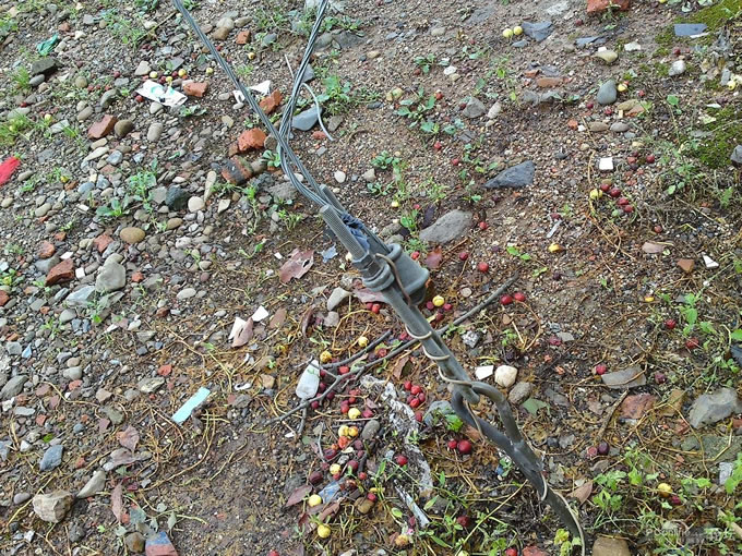 DIY�Լ�����! ���ײ����Ų������...