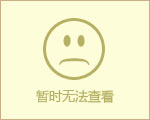 ˫