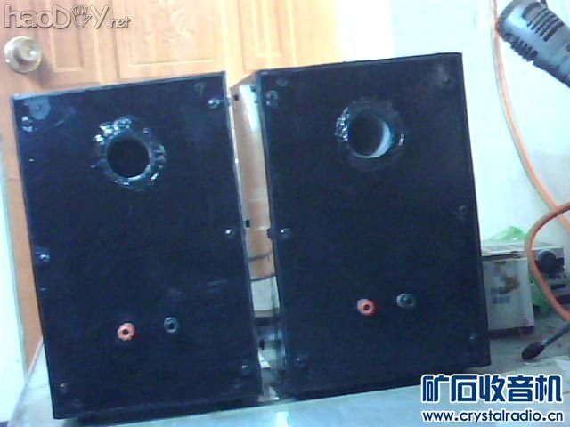 做好的音箱背面.jpg 自制2.0桌面小音箱(3)