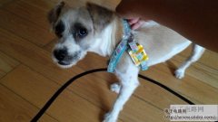 ��������ô�޹���