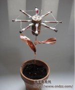 制作浇“水”就会亮的“花”