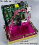 ��! DIYˮ�����ݮ�ɵ���