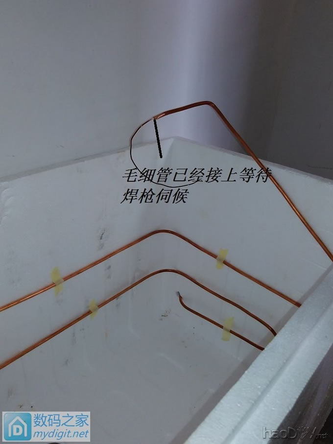 쵽ˡԼⷿûбô졢λô