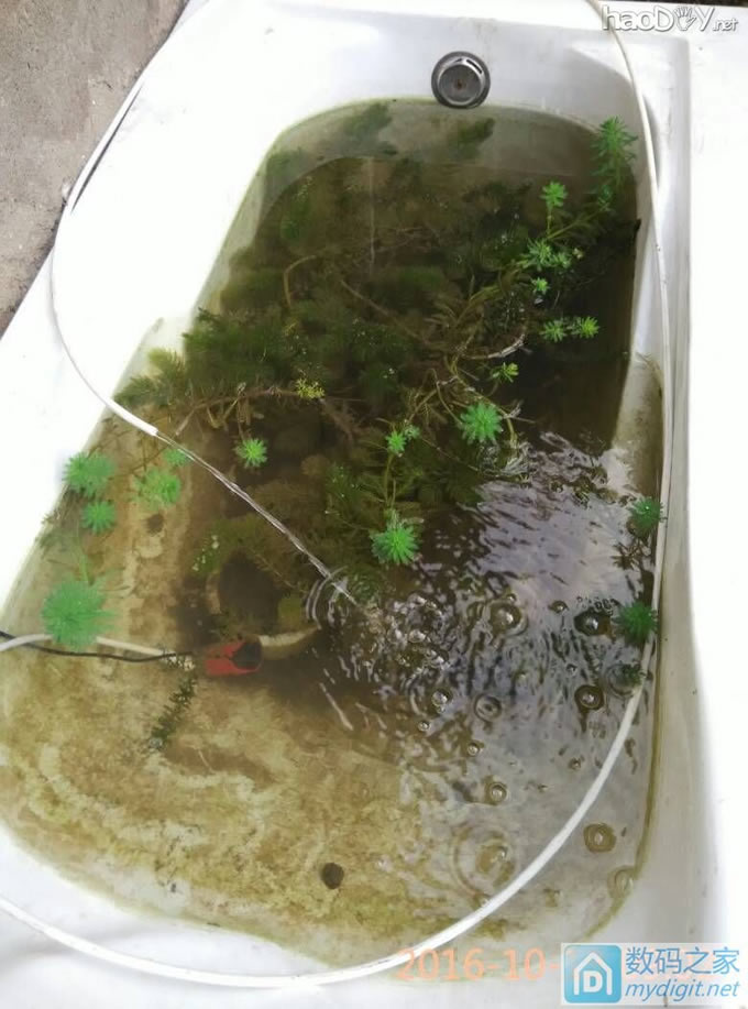 ѭˮã̫ʿɵ