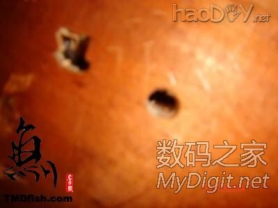 ת йţ˸DIYͺӥ