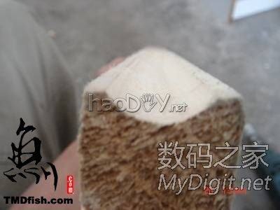 ת йţ˸DIYͺӥ
