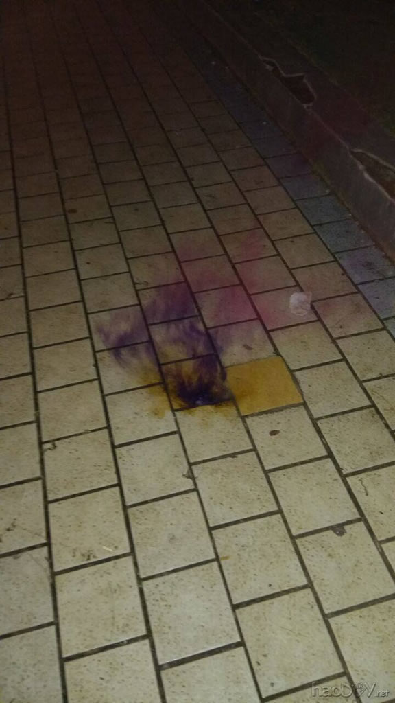 ⷴӦȼʵ