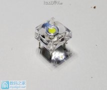 ROSE DIY LED淨